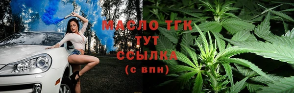 стаф Алексеевка