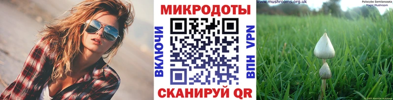 ссылка на мегу рабочий сайт Закаменск Галлюциногенные грибы ЛСД наркошоп